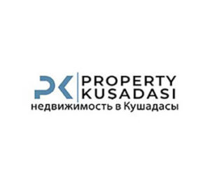logo41