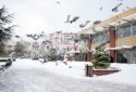 YALOVA ARMUTLU İHLAS