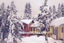 Ilgaz Mountain Termal Sömestr Dönemi (15 Tatil) Ladin Villa